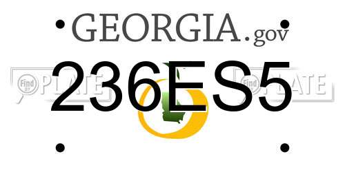 236ES5 Georgia License Plate
