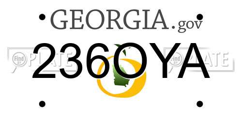 236OYA Georgia License Plate