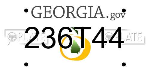 236T44 Georgia License Plate