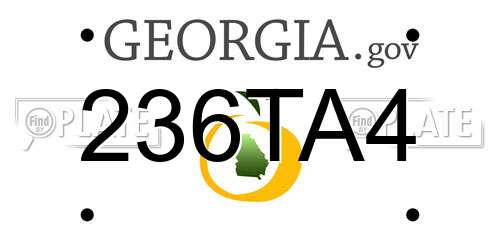 236TA4 Georgia License Plate