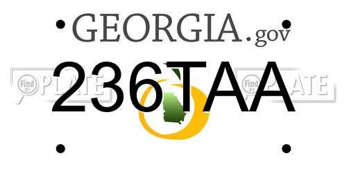 236TAA Georgia License Plate