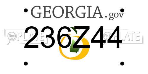 236Z44 Georgia License Plate
