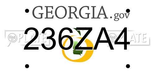 236ZA4 Georgia License Plate