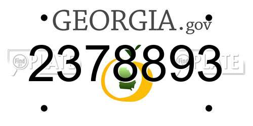 2378893 Georgia License Plate