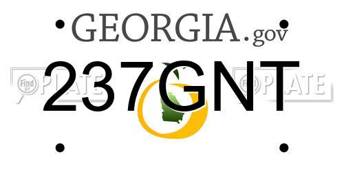237GNT Georgia License Plate