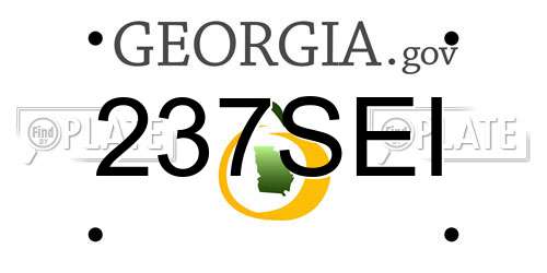 237SEI Georgia License Plate