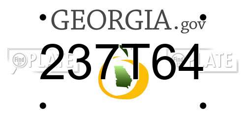 237T64 Georgia License Plate