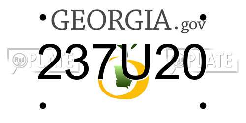 237U20 Georgia License Plate