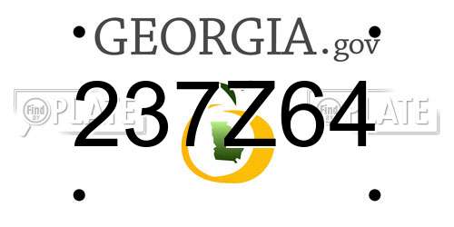 237Z64 Georgia License Plate