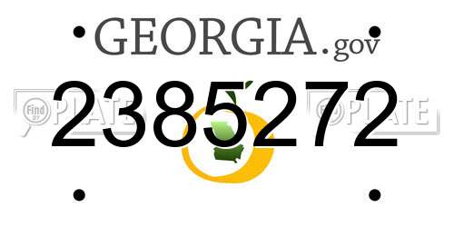 2385272 Georgia License Plate