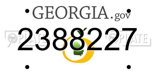 2388227 Georgia License Plate