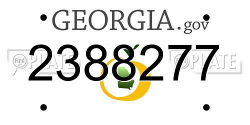 2388277 Georgia License Plate