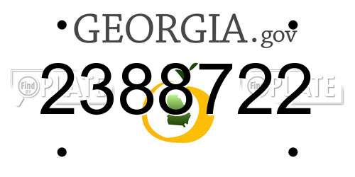 2388722 Georgia License Plate