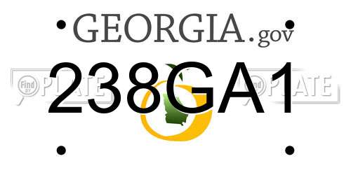 238GA1 Georgia License Plate