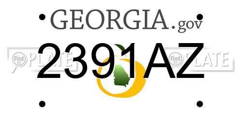 2391AZ Georgia License Plate