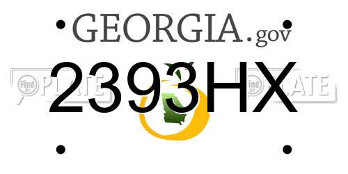 2393HX Georgia License Plate