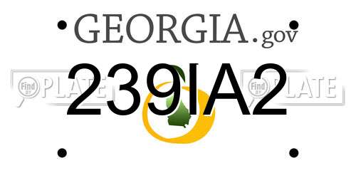 239IA2 Georgia License Plate
