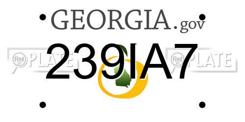 239IA7 Georgia License Plate