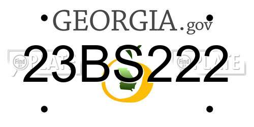 23BS222 Georgia License Plate