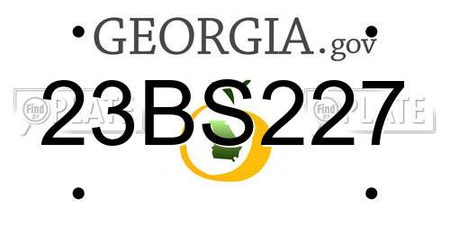 23BS227 Georgia License Plate