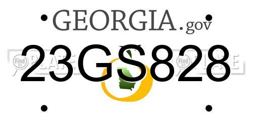 23GS828 Georgia License Plate