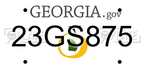 23GS875 Georgia License Plate