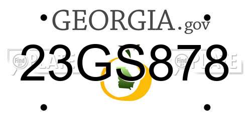 23GS878 Georgia License Plate