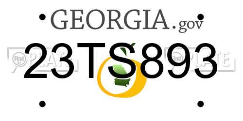 23TS893 Georgia License Plate