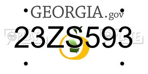23ZS593 Georgia License Plate