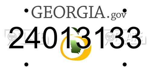 24013133 Georgia License Plate
