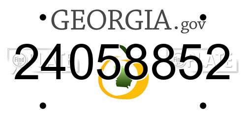 24058852 Georgia License Plate