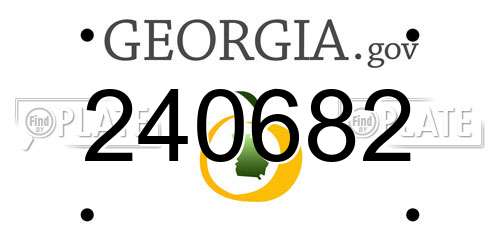 240682 Georgia License Plate