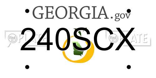 240SCX Georgia License Plate