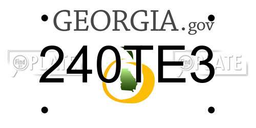 240TE3 Georgia License Plate
