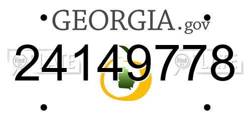 24149778 Georgia License Plate