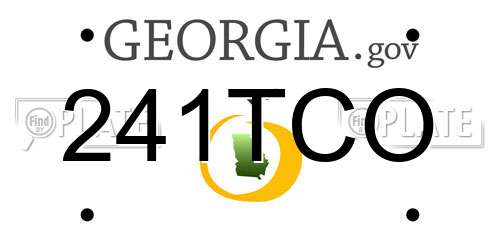 241TCO Georgia License Plate