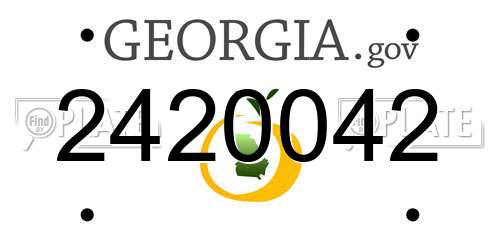 2420042 Georgia License Plate
