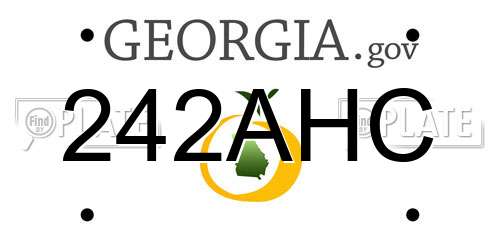 242AHC Georgia License Plate