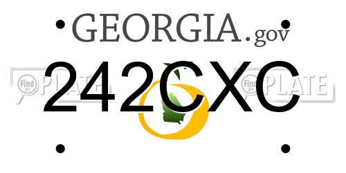 242CXC Georgia License Plate