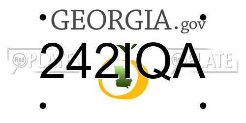 242IQA Georgia License Plate