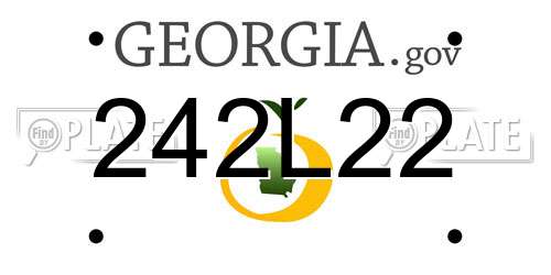 242L22 Georgia License Plate