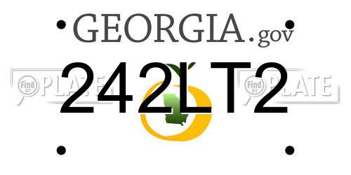 242LT2 Georgia License Plate