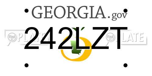 242LZT Georgia License Plate