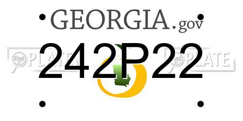 242P22 Georgia License Plate