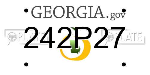 242P27 Georgia License Plate