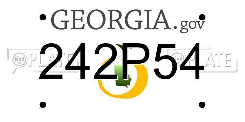 242P54 Georgia License Plate
