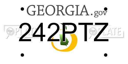 242PTZ Georgia License Plate