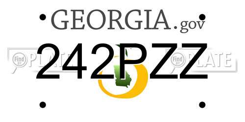 242PZZ Georgia License Plate