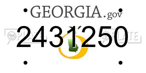 2431250 Georgia License Plate