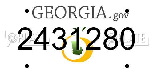 2431280 Georgia License Plate